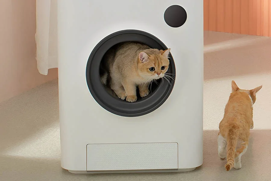 best scoop free litter box